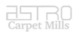 delta-strike-astro-carpet-mills.webp Astro Carpet Mills logo