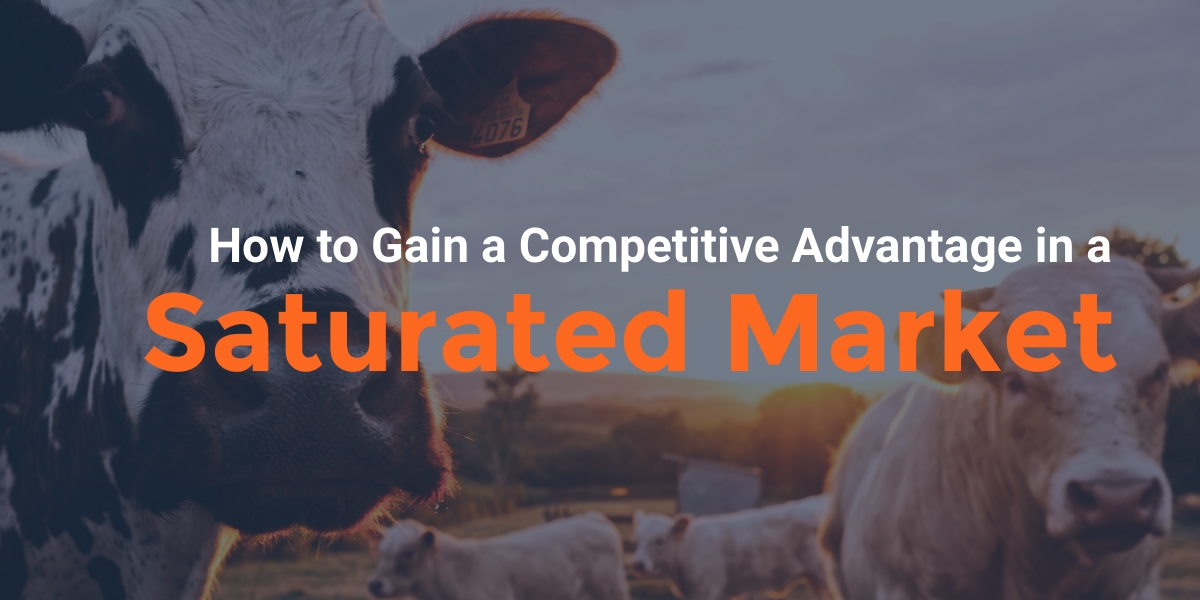 How to Gain a Competitive Advantage in a Saturated Market